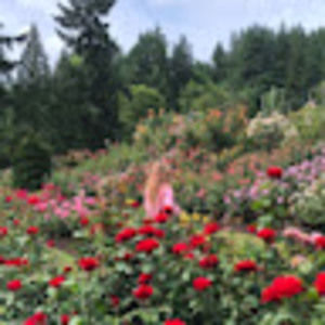 Meet your Posher, Amber